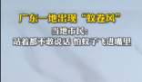 廣東一地蚊子聚集飛舞似龍卷風 實在太罕見了