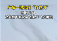 廣東一地蚊子聚集飛舞似龍卷風 實在太罕見了