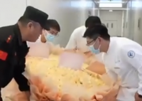 女子重度抑郁治愈送999朵玫瑰謝醫生 實在太感人了