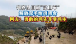 飼養(yǎng)員自制“過山車”給雞喂食 這也太霸氣了