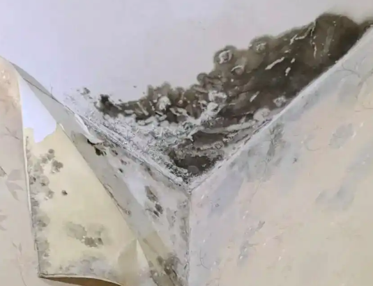 群租房噪音擾民 樓下鄰居很無奈 實在太崩潰了