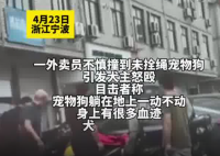 外賣(mài)員撞死未牽繩寵物狗被打 為什么引爭(zhēng)議？