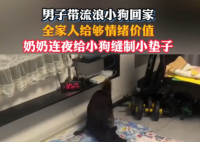 網友帶流浪狗回家 全家給足情緒價值 實在太暖心了