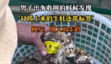男子出海打撈上來的生蠔帶商品標簽 到底是什么情況？